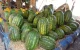 Marokko beperkt watermeloenproductie