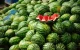 Marokkaanse watermeloen "overspoelt" Spanje
