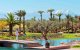Wintervakantie: Marokko in, Dubai out