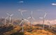 Taza huldigt eerste windmolenpark in