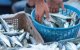 Sardines voor 5 dirham: visboer stunt in Marrakesh