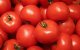 Marokko: hoge prijs tomaten uitgelegd