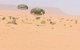 Mauritanië versterkt veiligheid bij grens Sahara