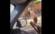 Sofyan Amrabat: sportieve vakantie in zonnige Marrakech (video)
