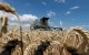 Toelichting bij stopzetting export Oekraïense tarwe naar Marokko