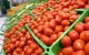 Uitvoer Marokkaanse tomaten naar Rusland met 99% gedaald