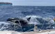 Britse toeristen overleven aanval van orka's op zeilboot nabij Tanger