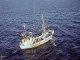 Visserijovereenkomst met Marokko kost EU jaarlijks 6 miljoen