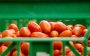 Europese import van Marokkaanse tomaten opgeschort?
