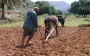 Marokkaanse boeren in vizier belastingdienst