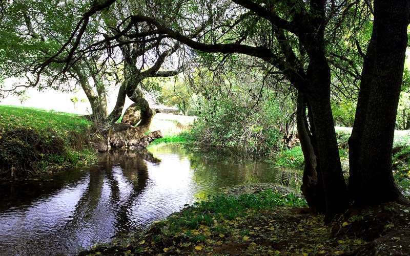 Ifrane Spring Zin om Ifrane te bezoeken?