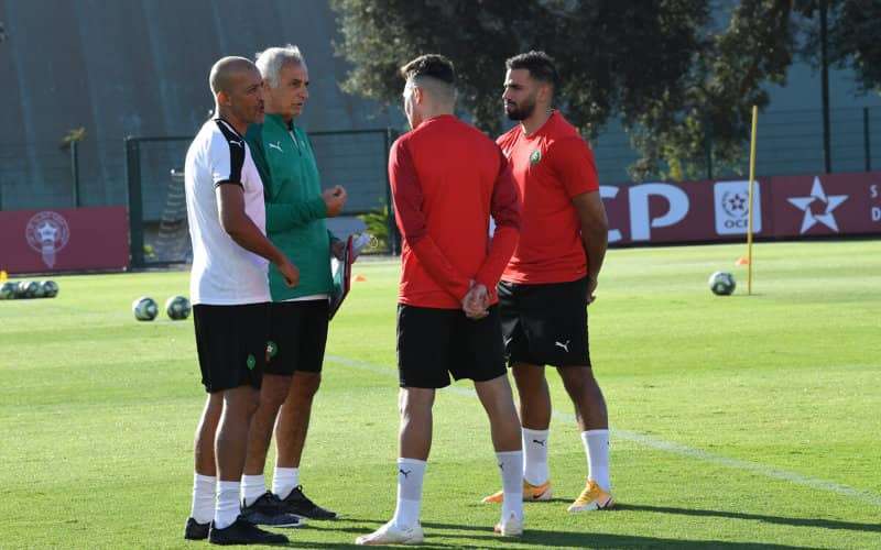 Vahid Halilhodzic eist meer inspanningen van de Atlas Leeuwen