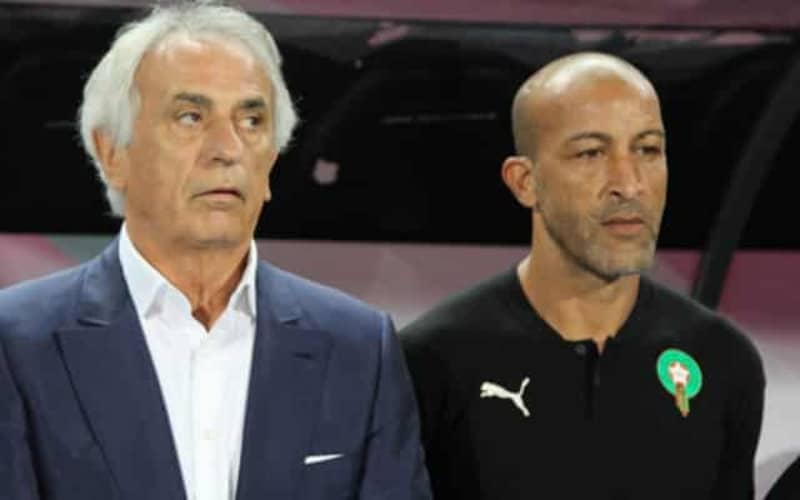 Vahid Halilhodzic "teleurgesteld in Mustapha Hadji"