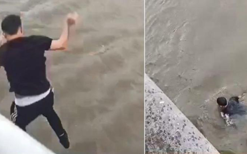 Dappere Marokkanen duiken in ijskoud Brussels kanaal om man te redden (video)