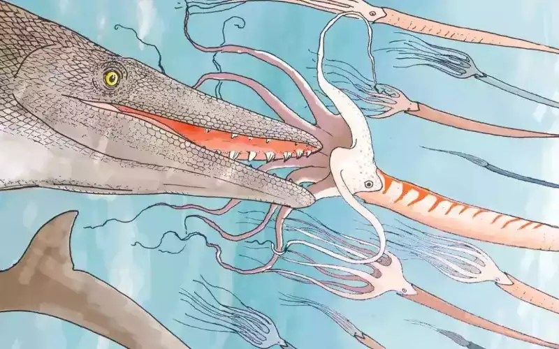 Fossile di Mosasaurus scoperto in Marocco, con “denti di cacciavite” mai visti prima Fossile di Mosasaurus scoperto in Marocco, con “denti di cacciavite” mai visti prima