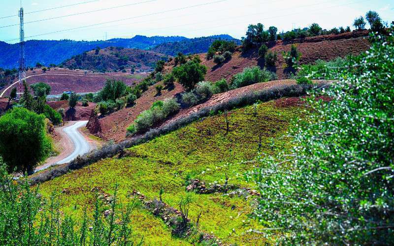 Amskroud Nieuws over Amskroud