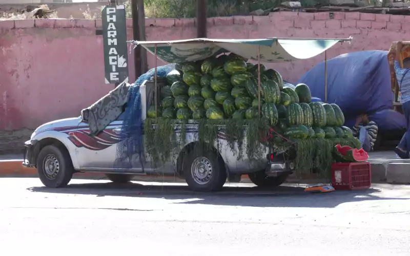 Egomania Walter Cunningham oven Watermeloenen zijn luxeproduct geworden in Marokko