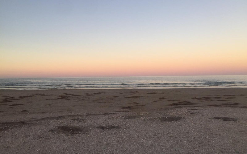 pay to go to the beach
